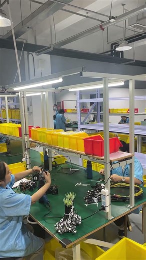 Professional custom wiring harness and cable assembly