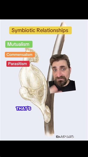 Symbiotic Relationships. #biology #science #animals #wildlife #nature