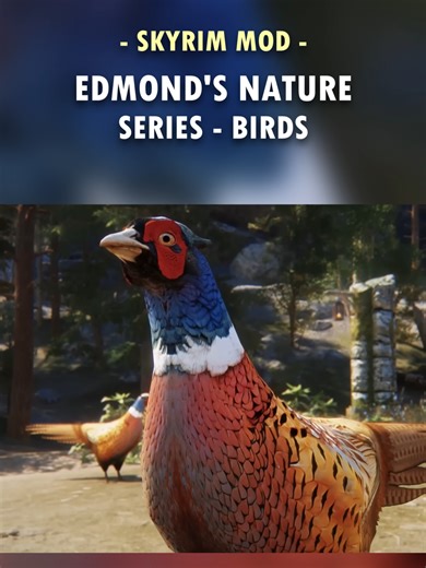 Skyrim FINALLY has Proper Birds! 🦅 Bethesda gave us a few hawks and chickens, but the amount of birds in the world always felt lacking. Edmond's Nature Series - Birds makes Skyrim's skies feel far busier and more lifelike adding a variety of new bird types to the world! #skyrim #skyrimmods #skyrimtiktok #hiddengems #gametok