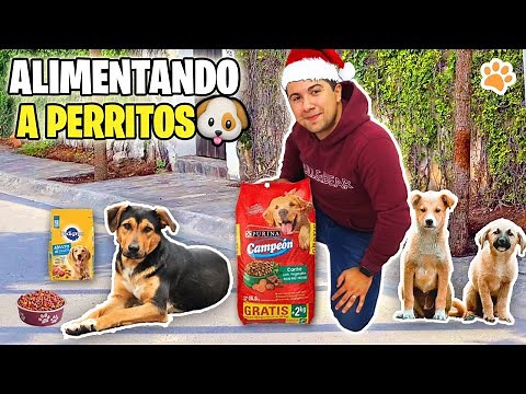 Salimos a DARLE de COMER a los PERRITOS DE LA CALLE por NAVIDAD 🥺💗