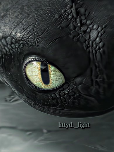 I love this transition sm song: Thief by @marinosmusic #fyp #viral #foryoupagе #dontlethisflop #httyd #httydedit #httyd2 #httyd2edits #howtotrainyourdragon2 #toothless #nightfury #howtotrainyourdragon #howtotrainyourdragonedit #toothlessedit