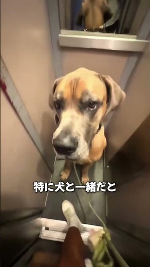 The smallest elevator in the world