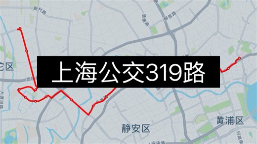 【travelboast】上海公交319路
