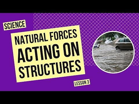 Natural Forces Acting on Structures | Science Lesson
