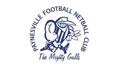 4.3K views · 52 reactions | 﫶 Our 2025 Season Review 﫶 What a ride our 2025 chapter has been! Take a look back at some of our favourite captured moments from the year that was  | Paynesville Football Netball Supporters Club | Facebook