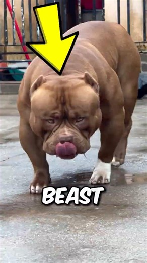 Top 3 Animals with Insane Strength 💪😱 #animals #foryou #viralshorts #nature