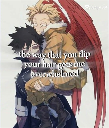 dabihawks edit #mha#mhacommunity#anime#mhaedit#manga myheroacademia#dabihawks#dabi#hawks