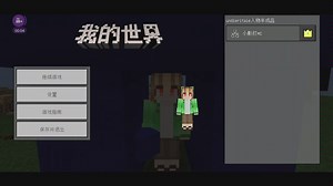 我的世界，undertale地图。