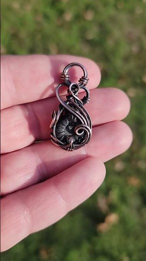 Black Ammonite Fossil - Available @ wornwizard.com