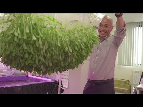 Japanese High-Tech Films Revolutionize Food