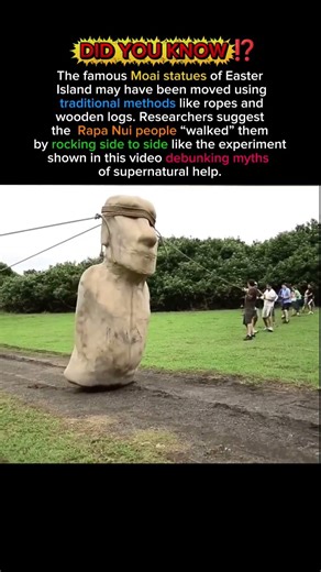 Did the Moai “Walk” on Their Own? 🗿 #shorts #history #didyouknow