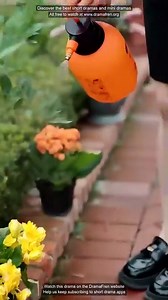 The Future Me Said Run - Chinese Drama - English Sub