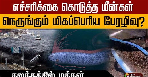 எச்சரிக்கை கொடுத்த DoomsDay Fish.. நெருங்கும் மிகப்பெரிய பேரழிவு? கலக்கத்தில் மக்கள்!