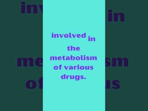 CYP2D6 Cytochrome P450 Family 2 Subfamily D Member 6