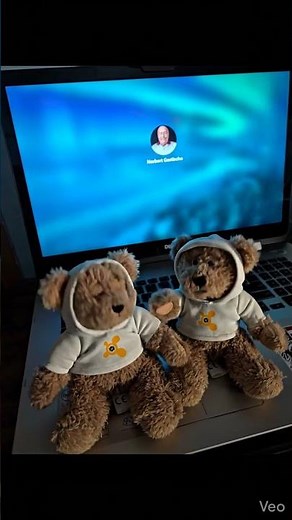 Avast Behavior Shield - (Explained by the Avast Bears!)