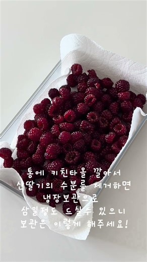 벌레걱정 싹 씻어내는 산딸기 세척법