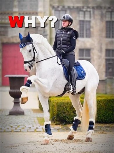 Horses With Infinity Aura♾️