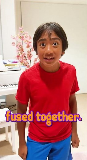 How many bones are there in the Human Body?? #shortsvideo