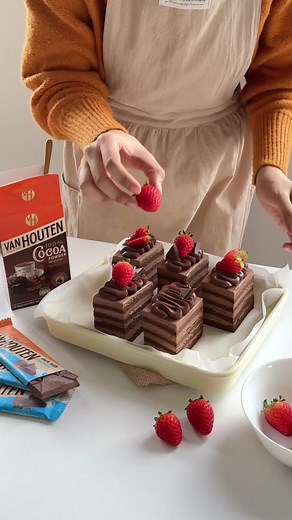 Decadent Chocolate Layer Cake Recipe with Van Houten