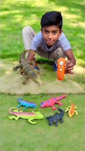 Wow remote control RC Gecko Lizard 🦎😂 & Crocodile 🐊🤣 For All small Lizard 🔥🔥 #shortsfeed #shorts