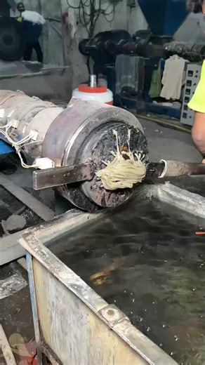 Plastic Dana Making: Complete Factory Process Explained