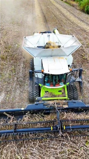 Powerful Combine Harvester Working in Field | Modern Farming & Crop Harvesting Machine