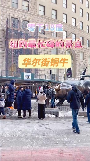 华尔街铜牛｜零下18度依然排长队｜纽约最繁忙的景点 #旅行 #纽约华人 #华人生活 #travel #曼哈顿 #纽约旅游