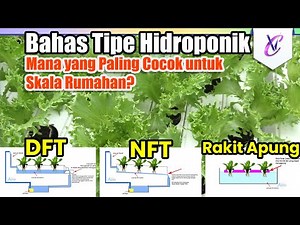 Cara Memilih Sistem Hidroponik yang Tepat, Paling MANTAP Mana? NFT, DFT, atau Rakit Apung?