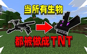 当所有生物都被做成TNT！末影龙TNT爆炸，会发生什么！