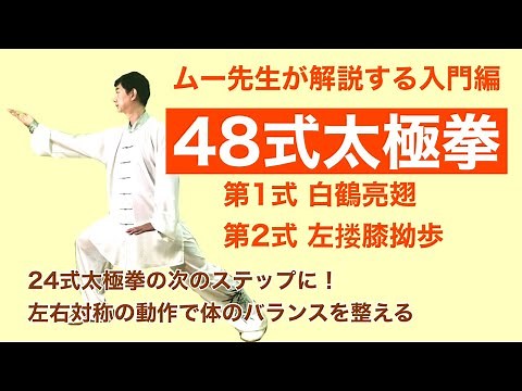 【入門】48式太極拳 第1&2式【動作解説】