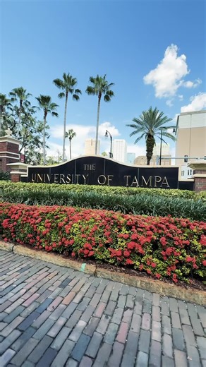 Exploring Palm Trees at the University of Tampa