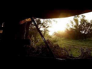 Hunting Whitetail Deer Out of Pop Up Blinds