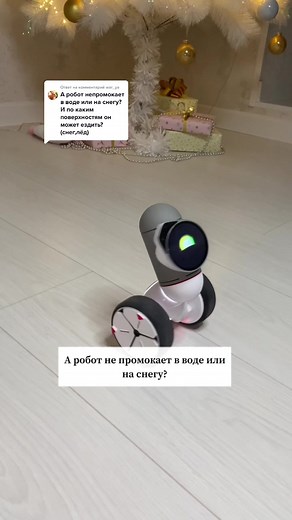 Ответ пользователю @war_ya вы бы брали его с собой на прогулку? 😍