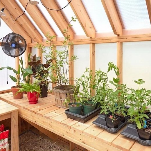 Unlock the Secrets of Greenhouse Gardening