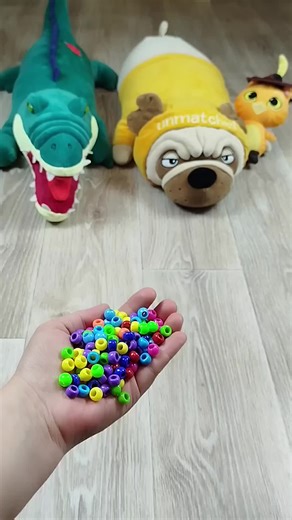 Funny Reverse Video with Pets