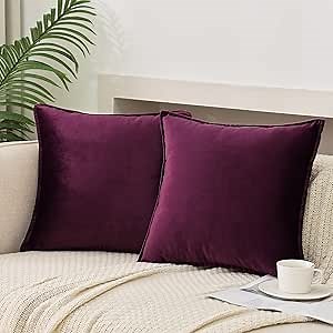 JIAHANNHA Velvet Purple Throw Pillow Covers Pack of 2 Spring Decorative Soft for Couch Sofa Bed Livingroom Office 18×18 Inches