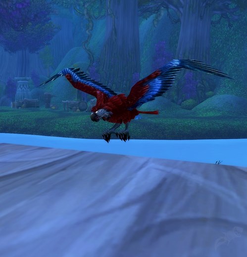 Parrot Cage (Green Wing Macaw)