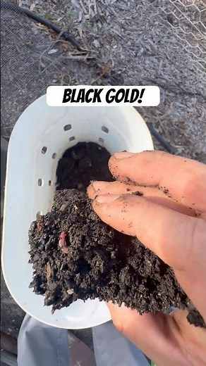 Composting Update: Does It Actually Work?