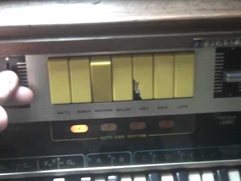 Hammond Piper II Organ/Keyboard
