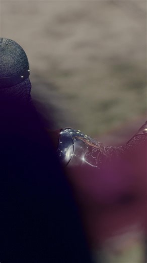 Your birthday is approaching, Good Noble! Sign up and receive a special birthday offer to celebrate at the Castle! 🏰 | Medieval Times Dinner & Tournament