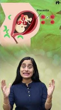 Rh incompatibility | Body fluids and circulation with Roshni Mam | Class 11 Biology one shots