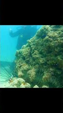 Project 10-15_Full HD 1080p.mp4