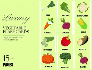 Vegetable Flashcards for Kids: Printable Learning Cards (PDF Download) - Etsy Canada