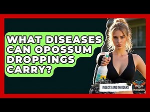 What Diseases Can Opossum Droppings Carry? - Insects and Invaders