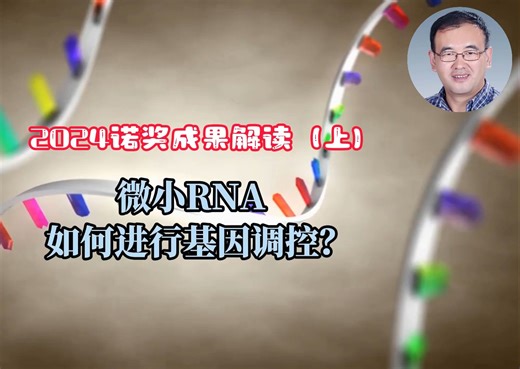 微小RNA如何进行基因调控？