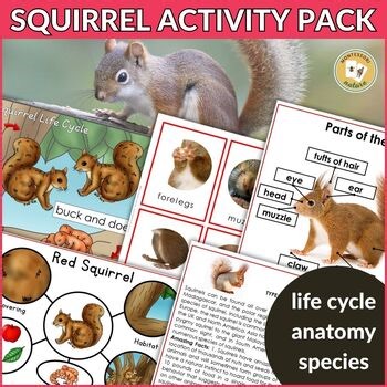 Parts of a Squirrel Life Cycle Types: Montessori Nomenclature 3 Part Cards Facts