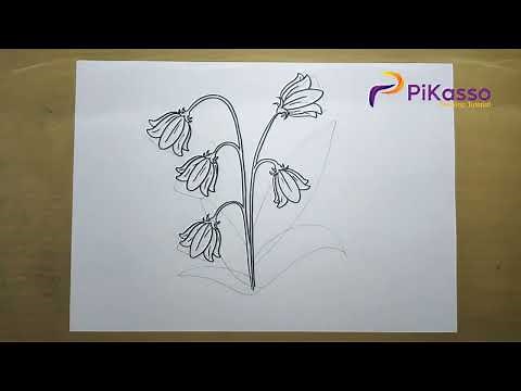 How to Draw a Bluebell Flowers Easy step by step