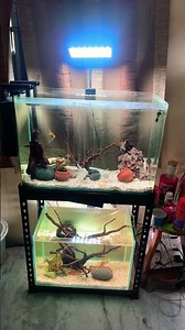 Don't build a tank rack until you see this #aquarium #tips