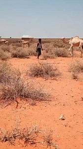 5.6M views · 48K reactions | Rakumi Yafi Doki Gudu | Trend Watch HQ | Facebook