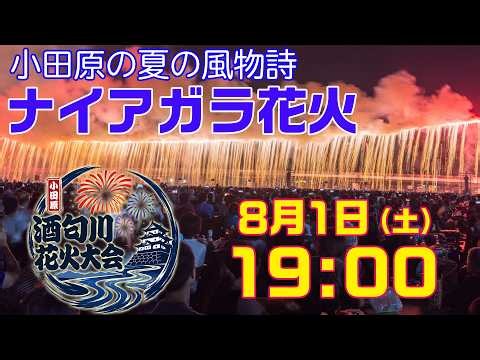 【アーカイブ配信】第37回小田原酒匂川花火大会 生中継｜全長300mナイアガラと光の競演